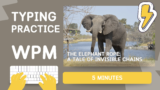 Practice 3 – The Elephant Rope: A Tale of Invisible Chains